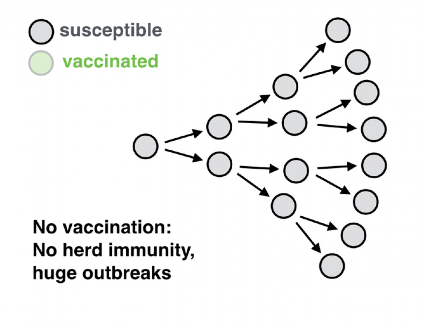 no-herd-immunity.png