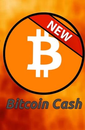 bitcoin-cash.jpg