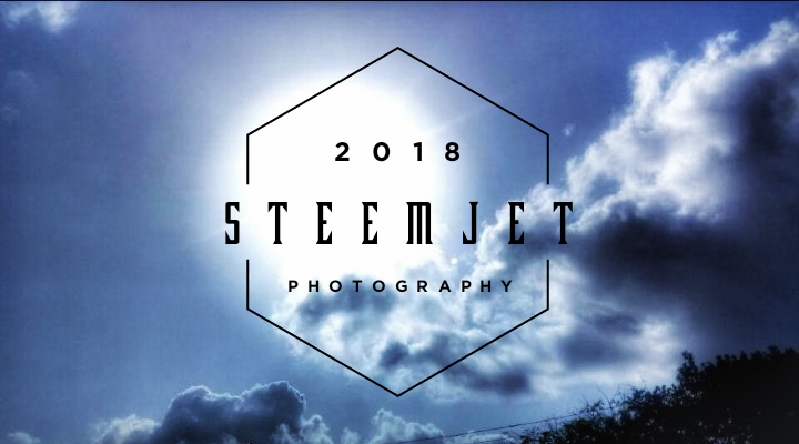 Steem Photography.jpg