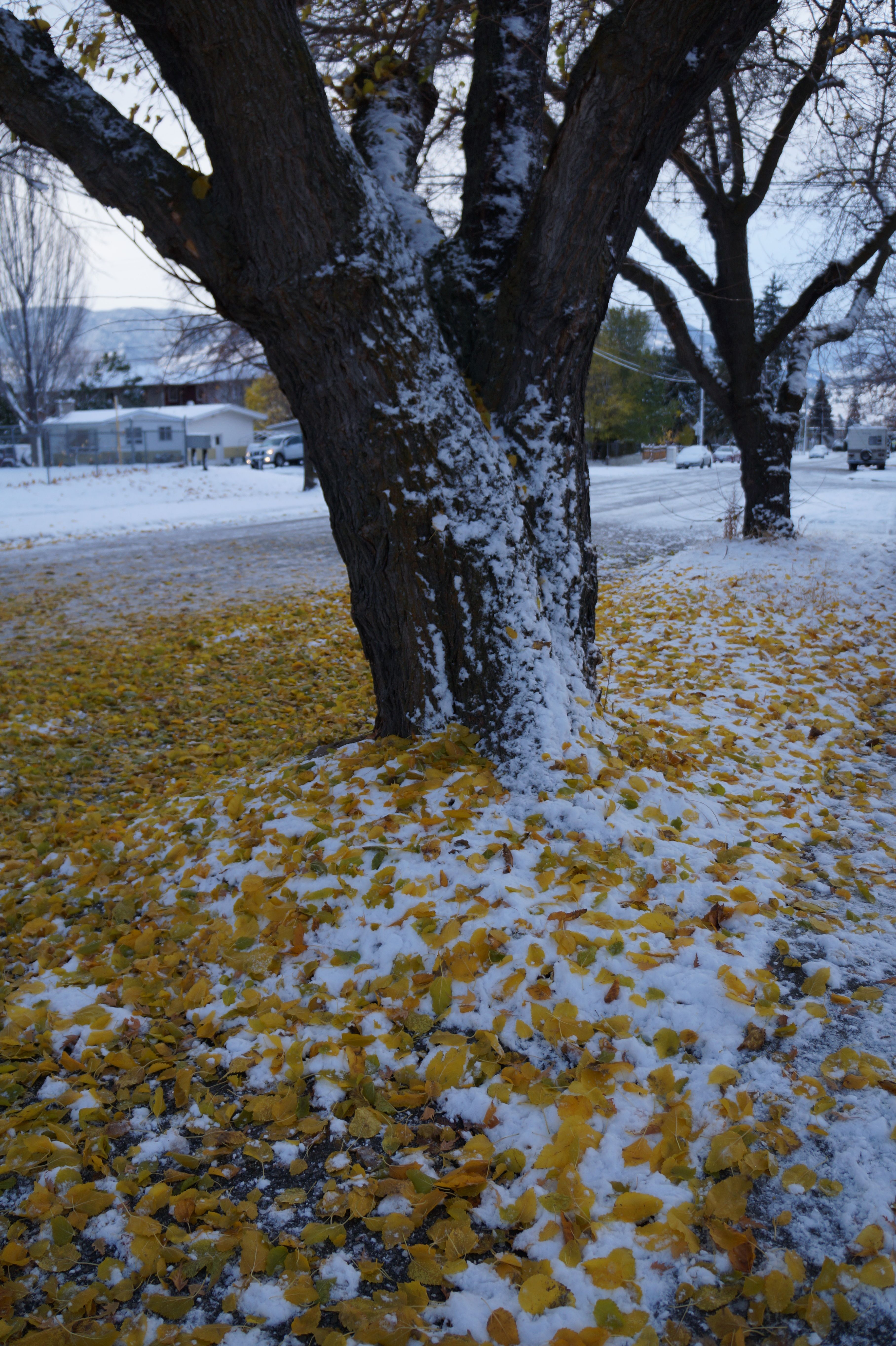 DSC04023.JPG
