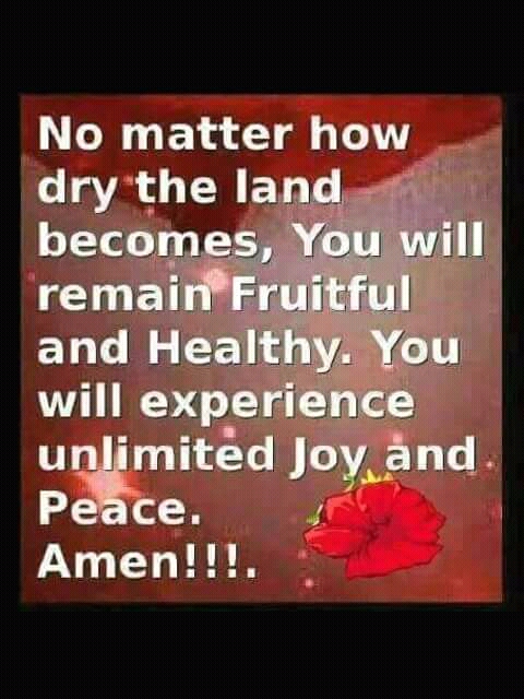 FB_IMG_15191106997326536.jpg