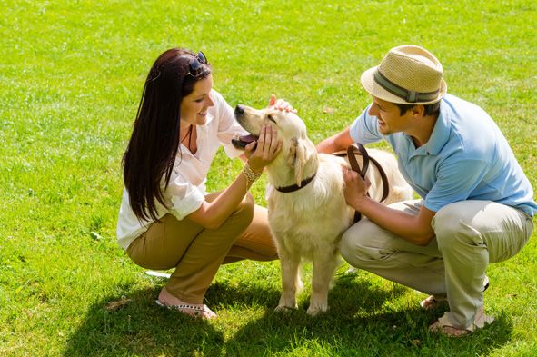 bigstock-Young-happy-couple-playing-wit-36432877.jpg