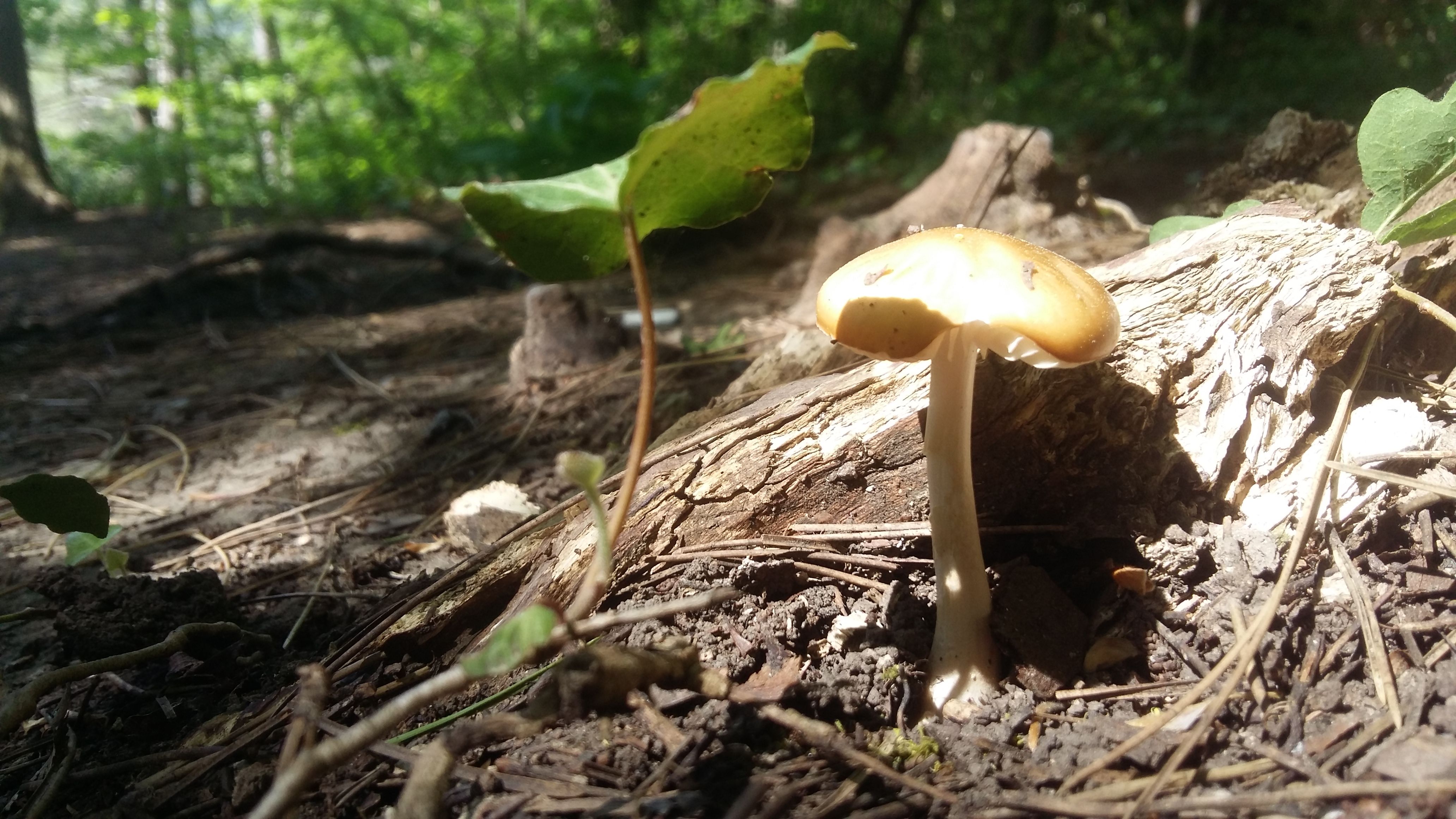 20180502_151329.jpg