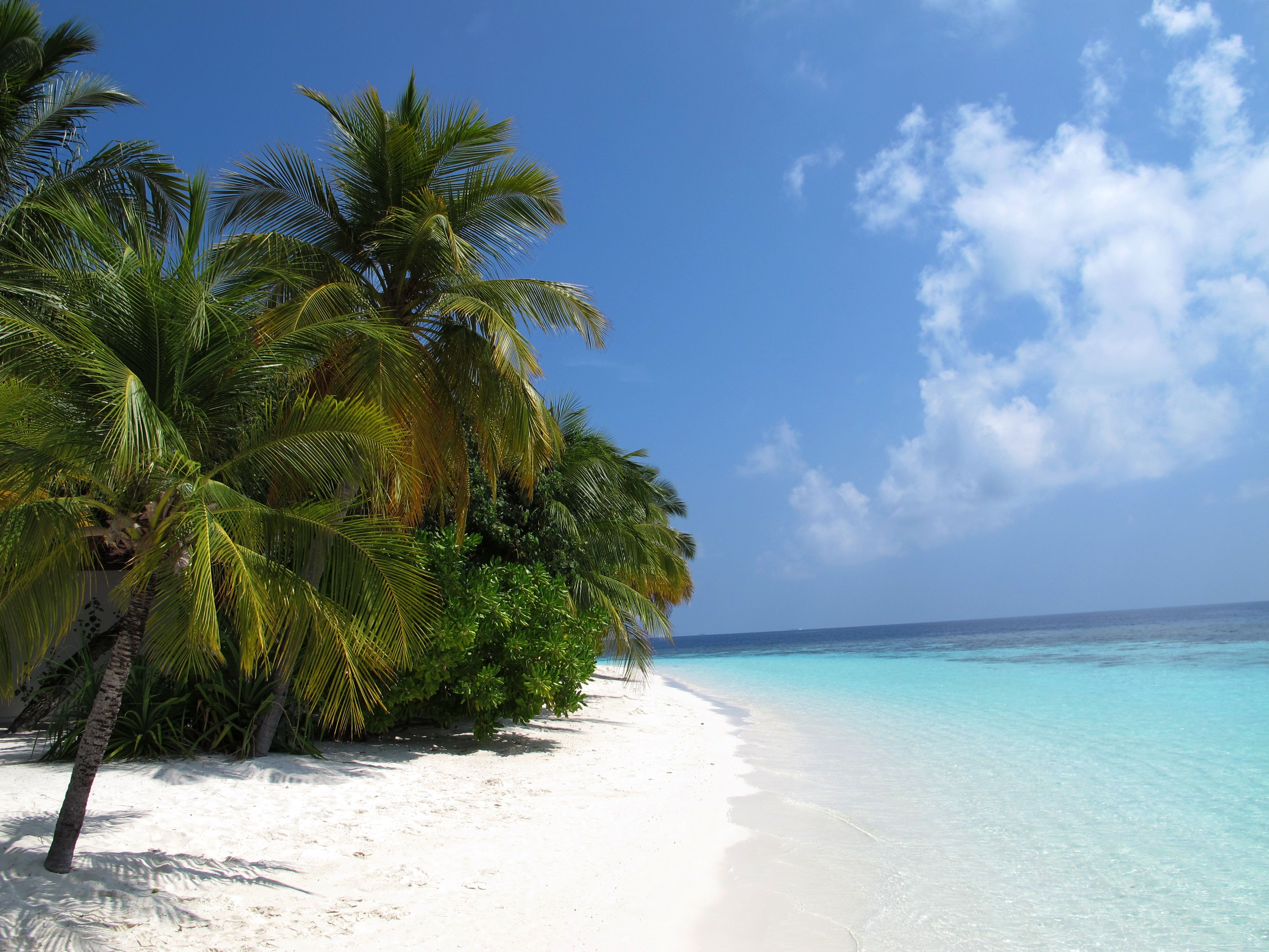 Maldives-beach-b5d2a5g7.jpg
