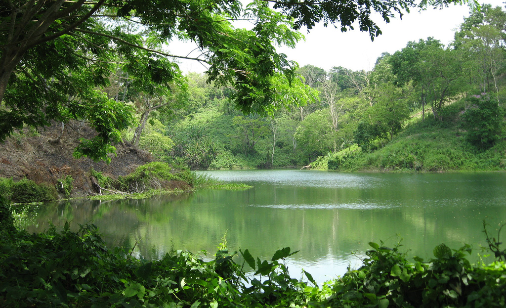 The Queen of beauty:Bangladesh — Steemit