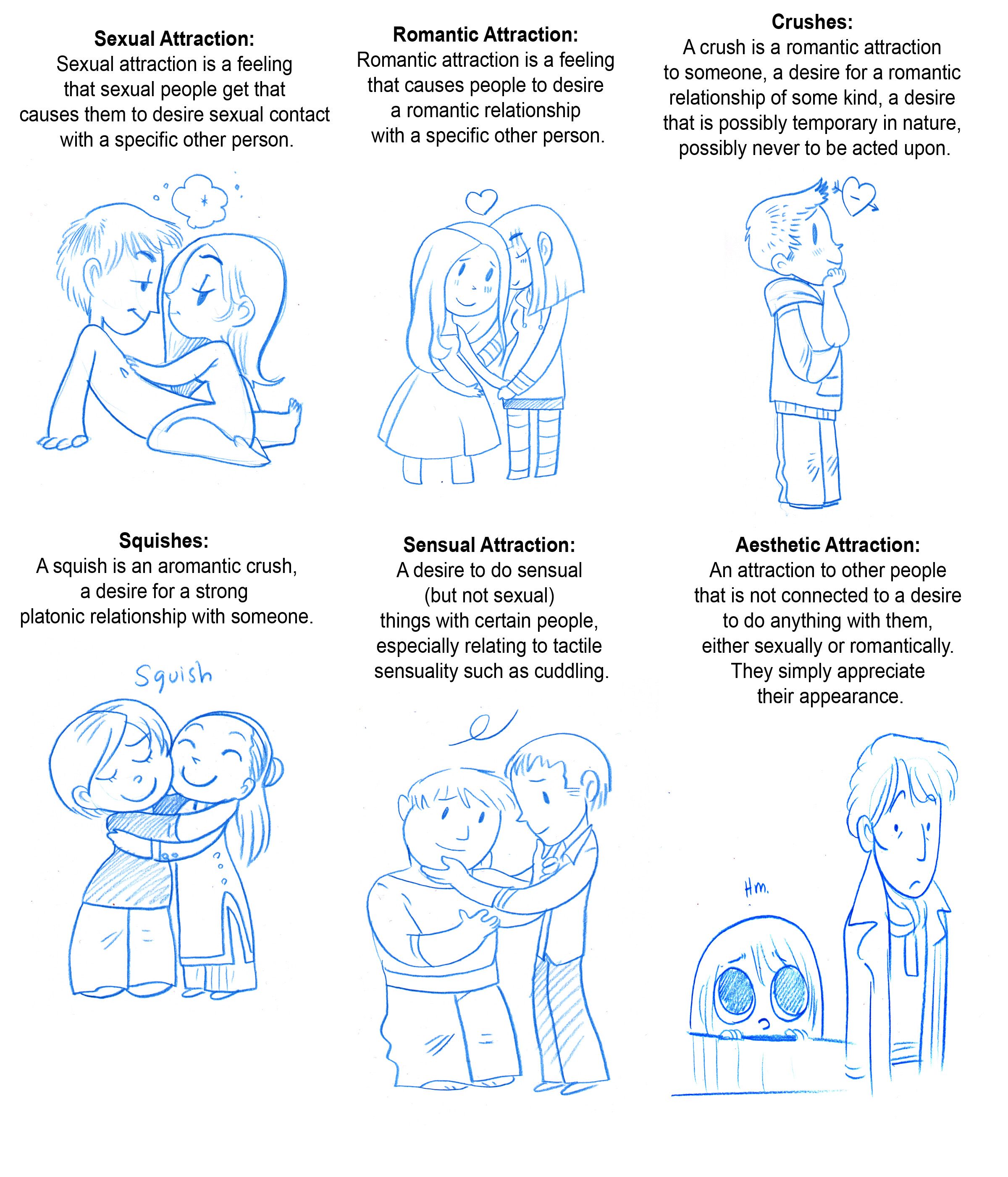 attraction.jpg