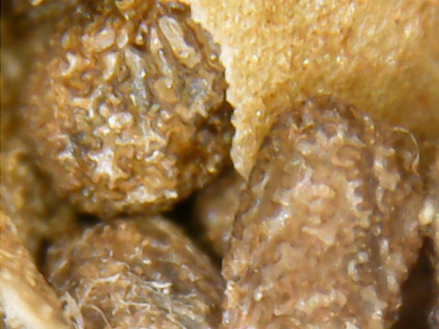 Snapshot_2018218 (9).jpg