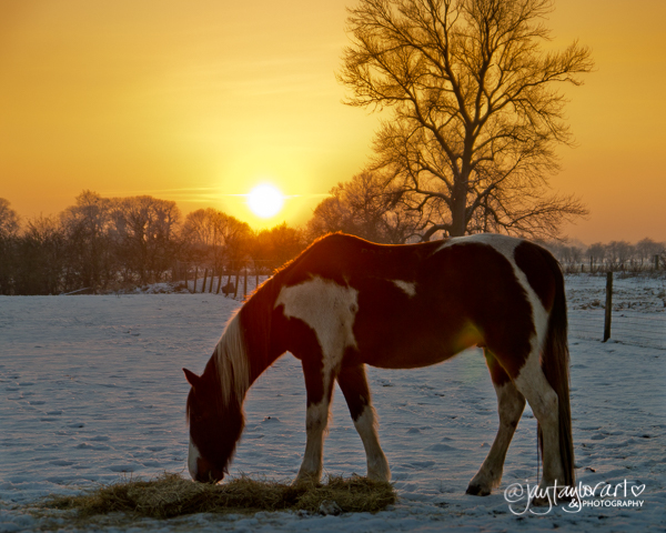 paco-sunset-2.jpg