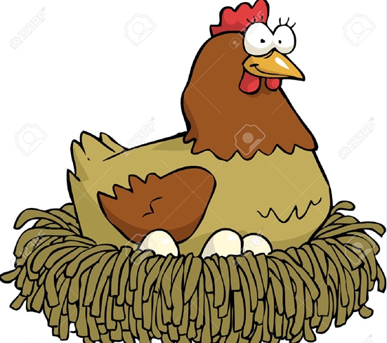 52987601-cartoon-hen-incubates-the-eggs-vector-illustration.jpg