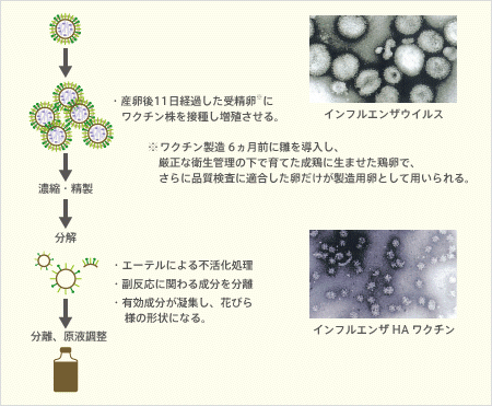 ワクチン.gif