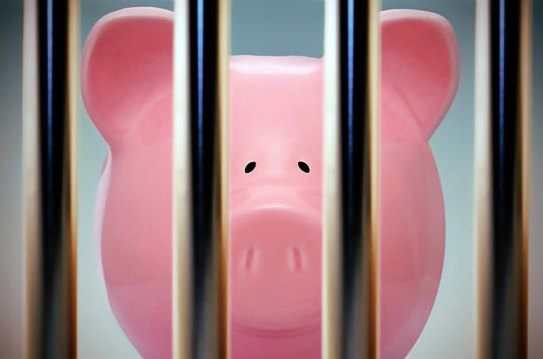 piggy-bank-behind-bars-picture-id84841293.jpg