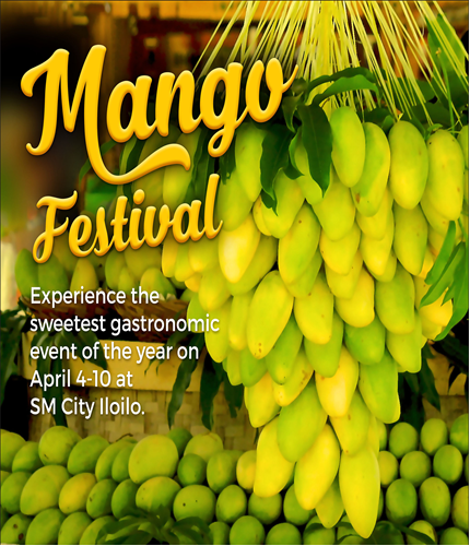 guimaras mango