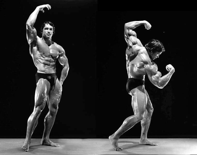 Arnold Schwarzenegger Bodybuilding Posing Styles Wallpapers — Steemit