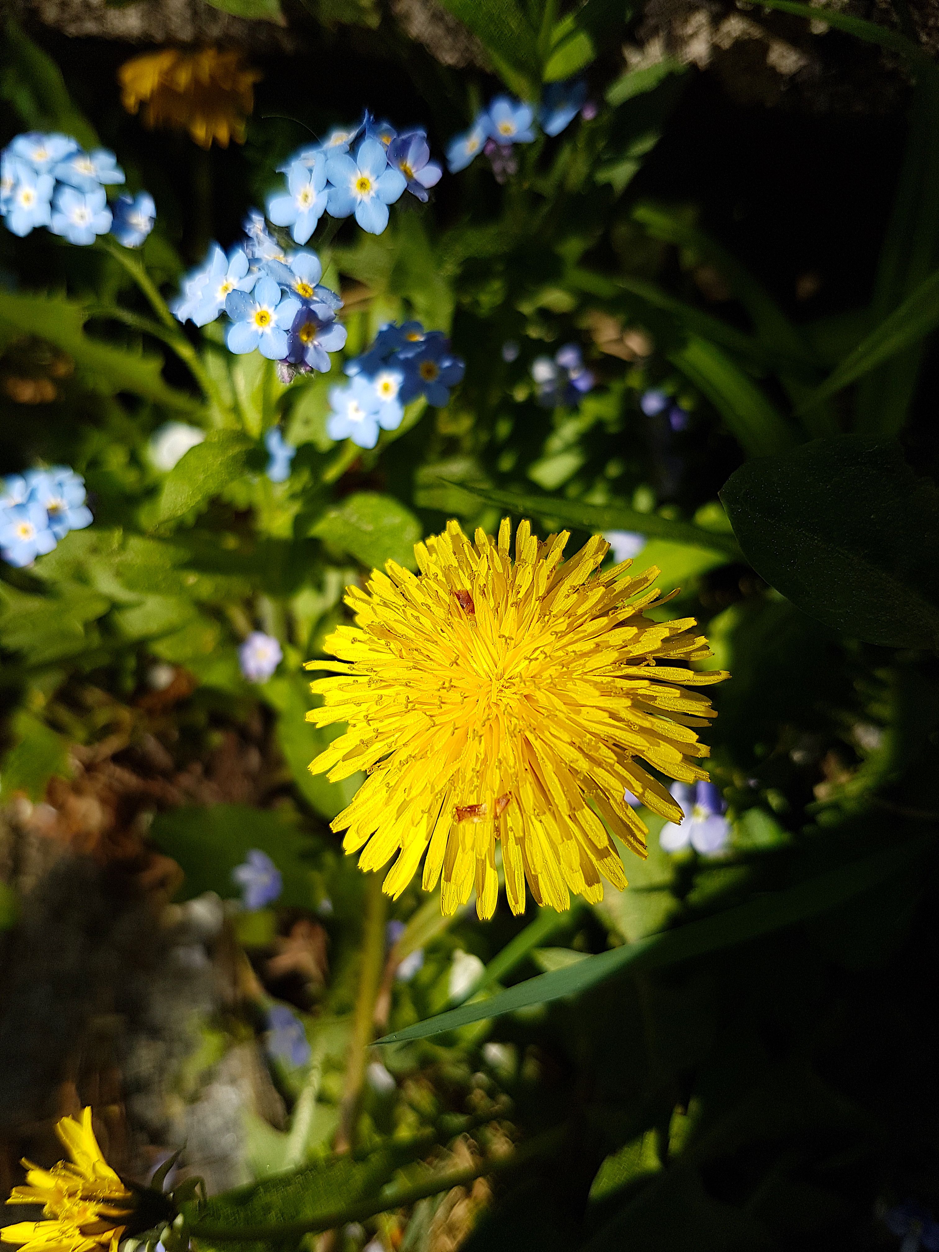 20180425_143919 Kopie.jpg