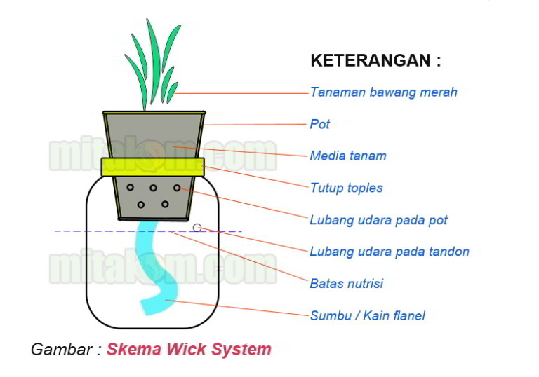 Gambar-Skema-Sistem-Wick-Bawang-Merah-768x538.jpg