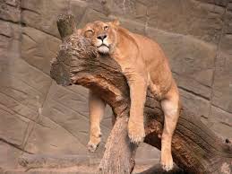 rest.jpg