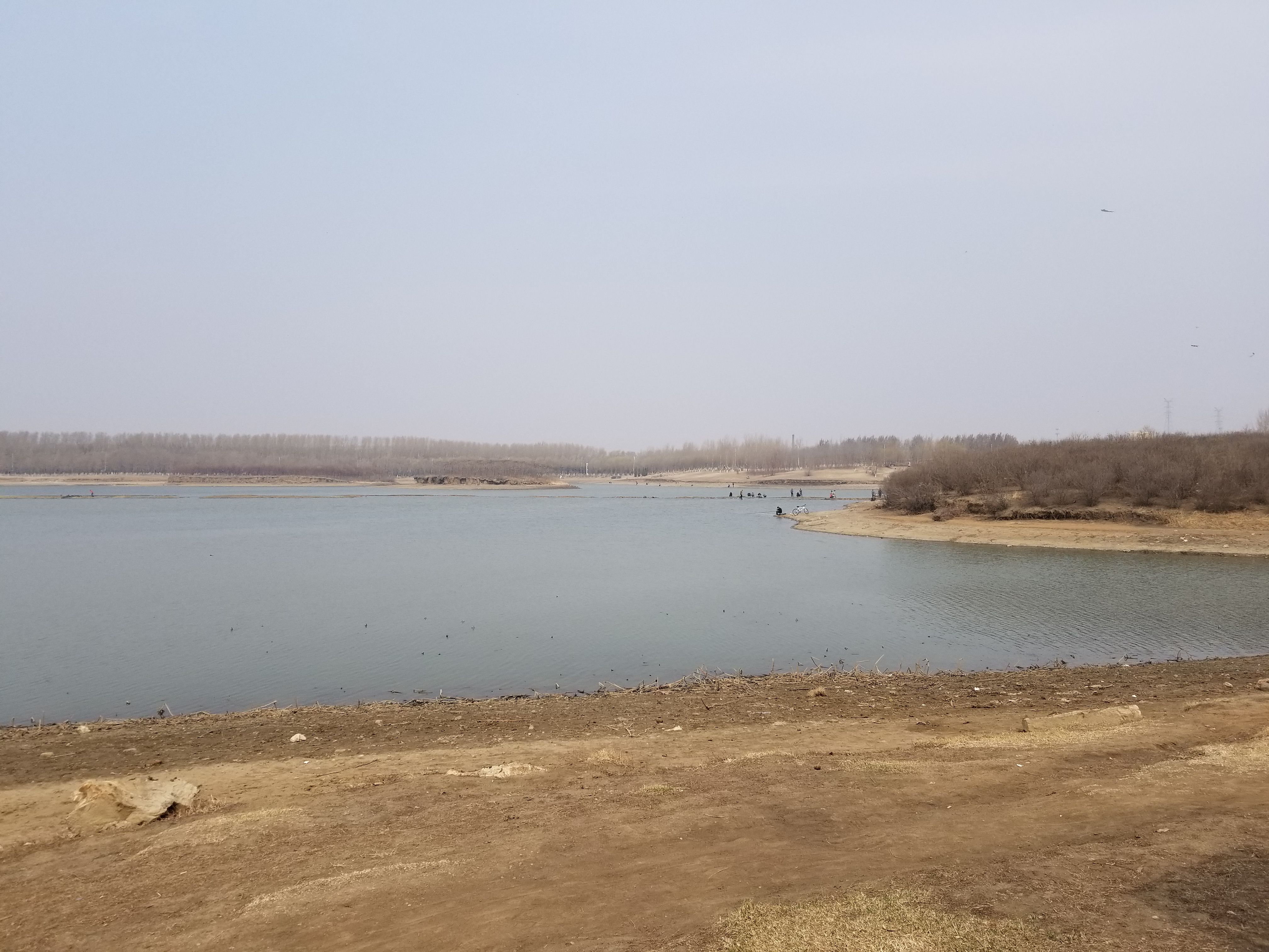 20180401_103805.jpg