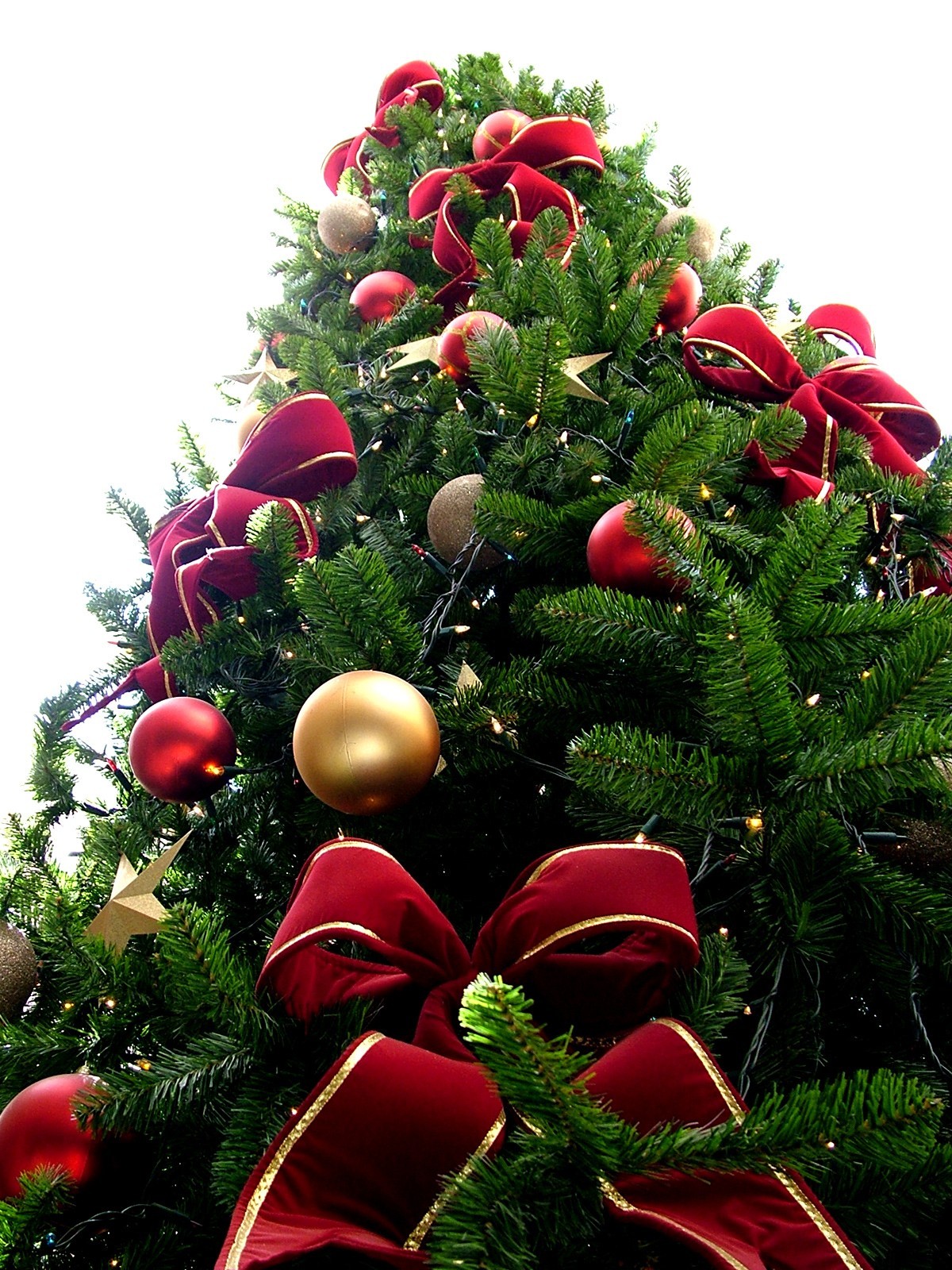 The Christmas Tree Is One Of The Most Widespread Christian