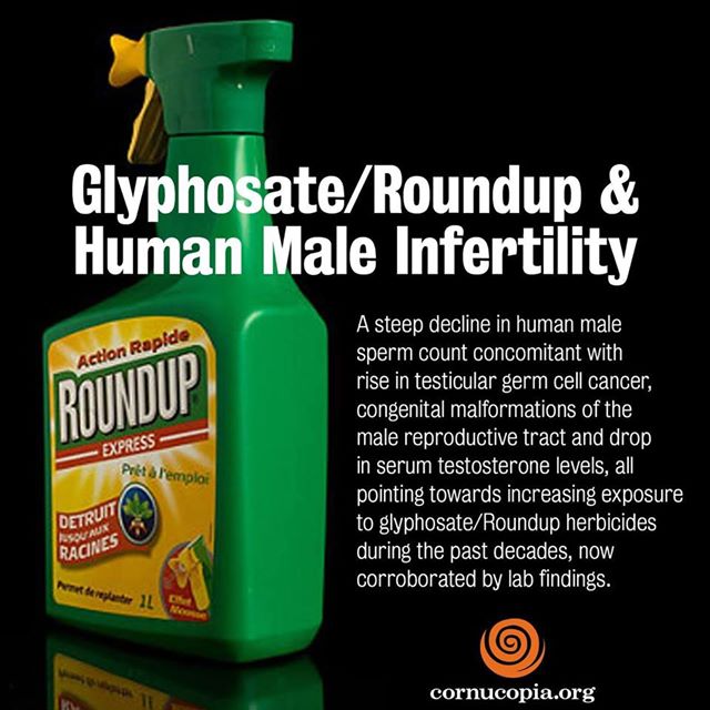Glyphosate and fertility meme.jpg