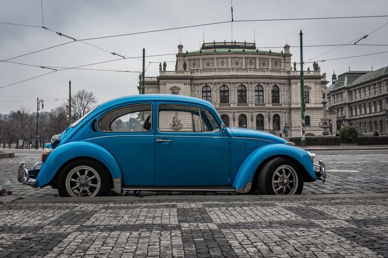 Blue Beetle_DSC4959_800px.jpg