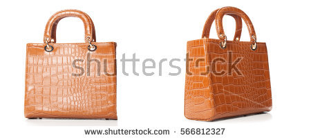 stock-photo-terracotta-women-handbag-isolated-over-white-light-brown-glossy-handbag-isolated-on-white-566812327.jpg