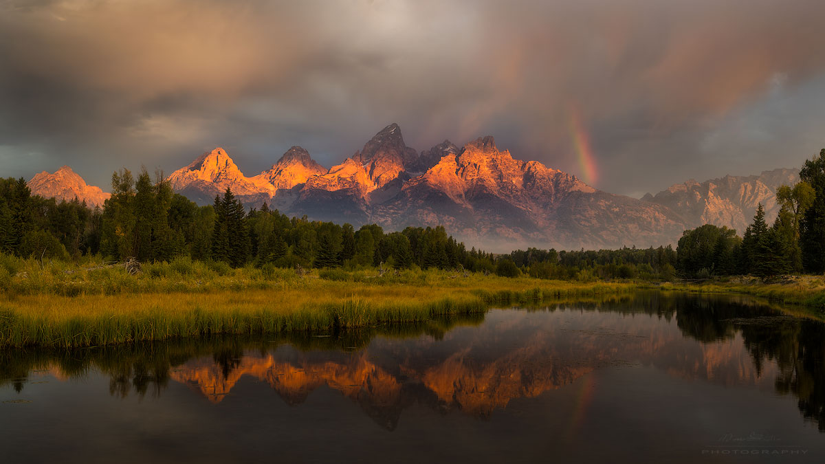 schwabacher-rainbow-close-up-copy-1200px.jpg