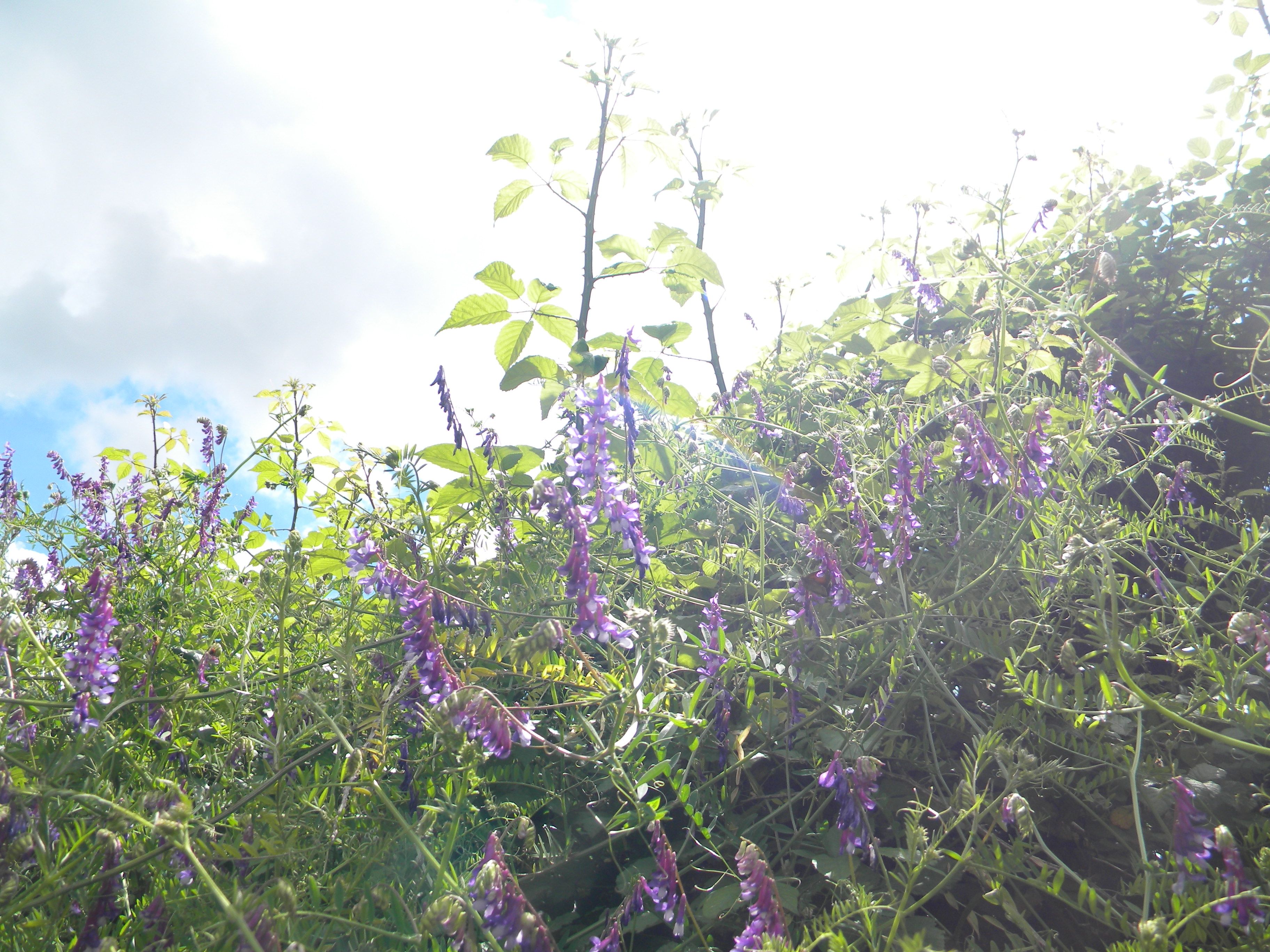 DSCN6852.JPG