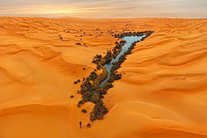 Beautiful-Oasis-In-The-Middle-Of-Libyan-Desert.jpg