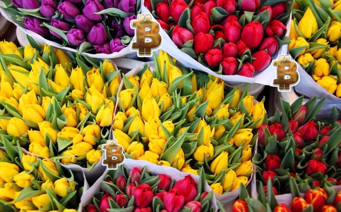 Tulip fever, or the history of the first financial pyramid Tulip fever, or the history of the first financial pyramid
