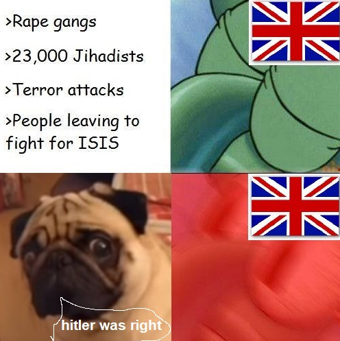 dmania-dankula.PNG