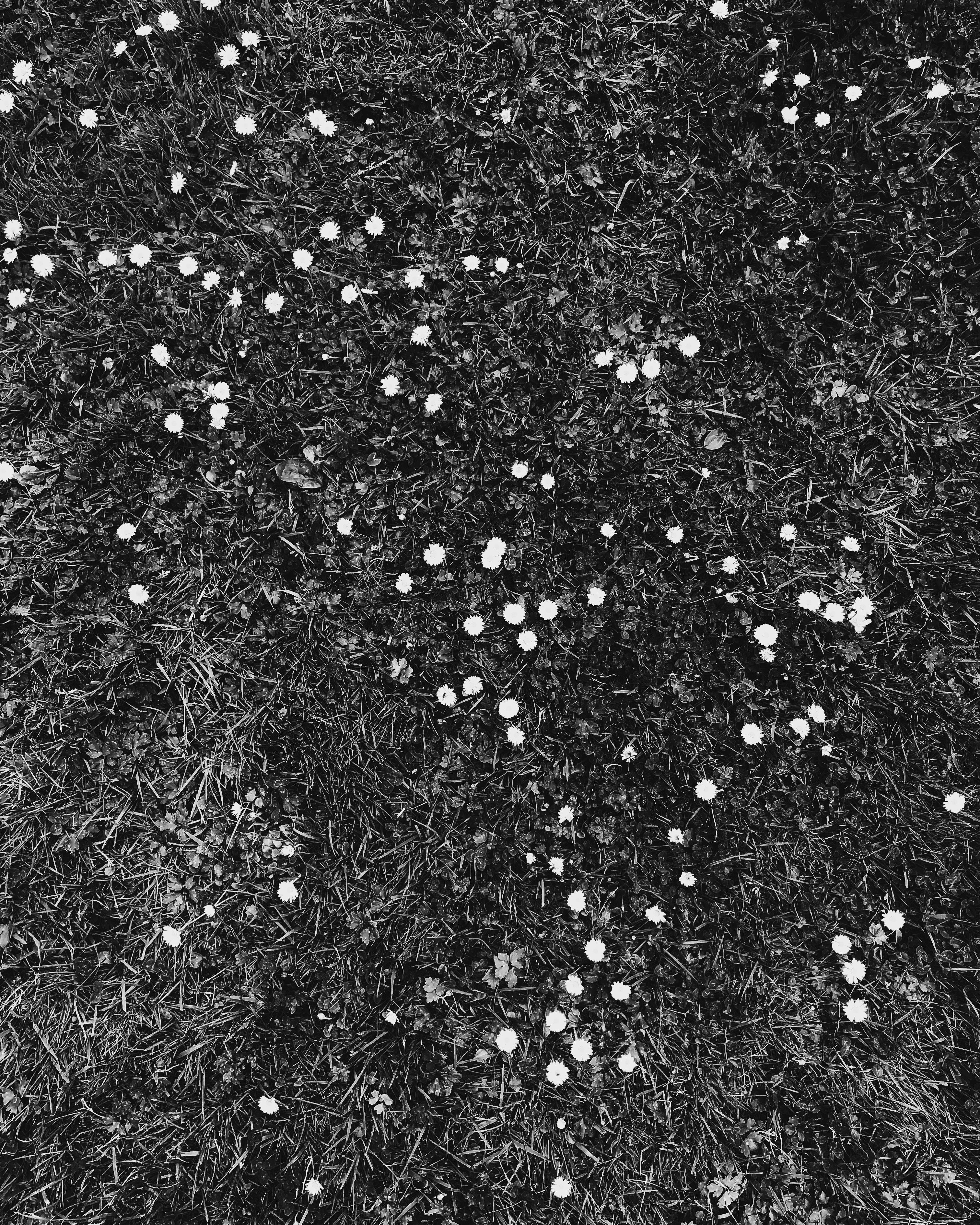 3E265149-2A8A-4FC2-8455-8A09F48F7AE3.jpeg