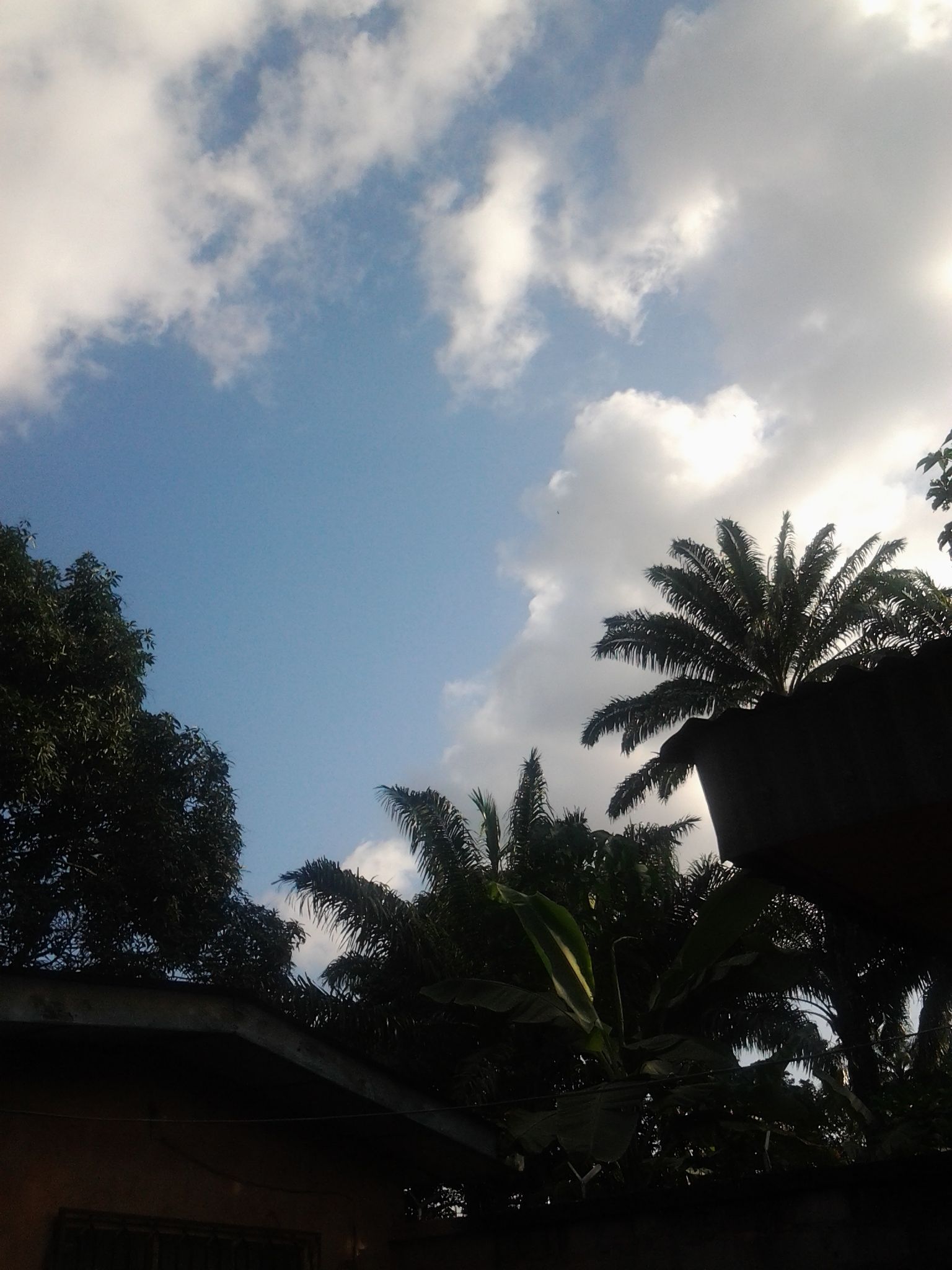 20160917_170056.jpg
