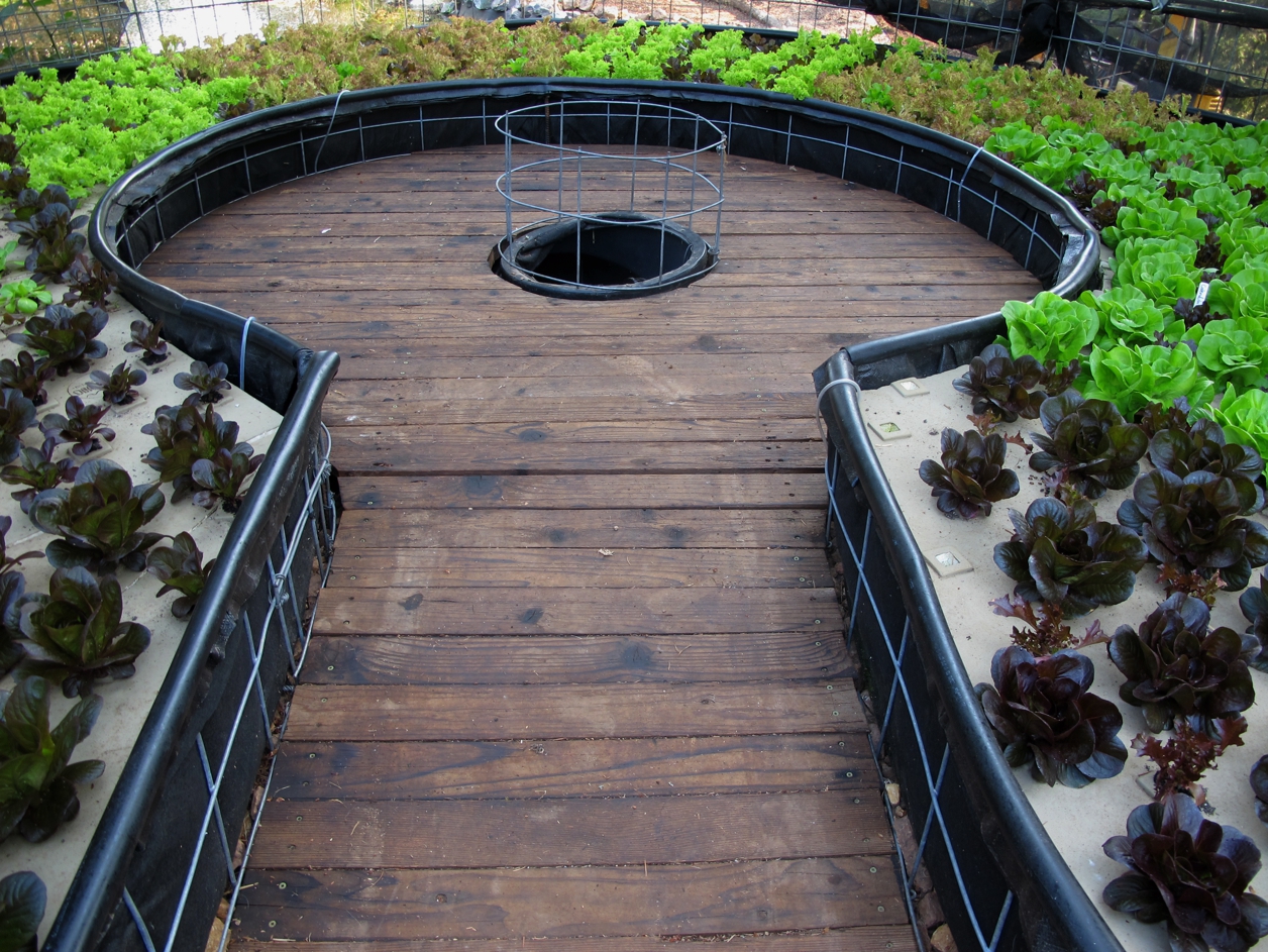 Keyhole Shaped Aquaponics System 2015#1.jpg