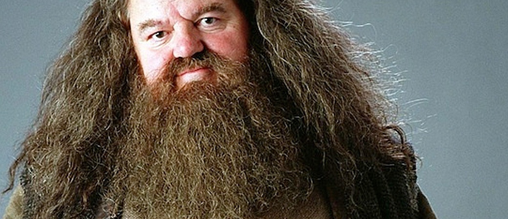 hagrid_banner.jpg