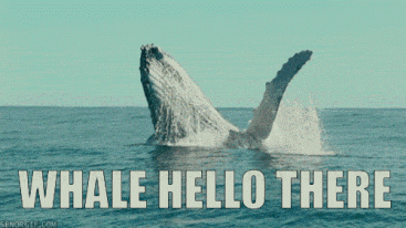 unnamed.gif