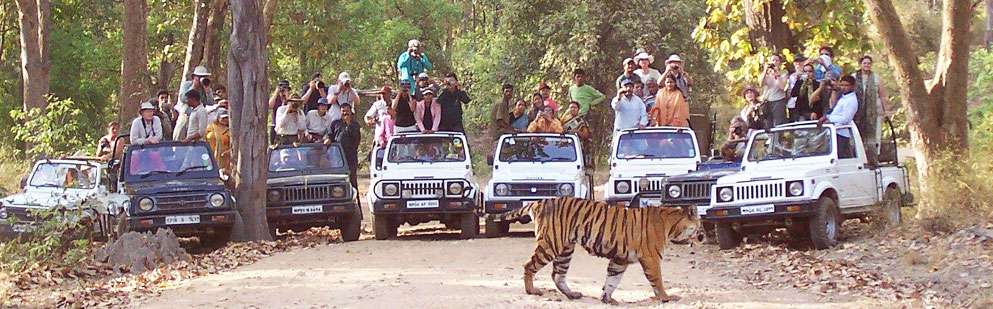 sariska-wildlilfe-sanctuary-192.jpeg