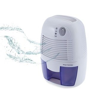 Portable Dehumidifier.jpg