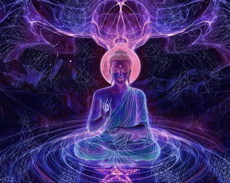 imageedit_54_4536827564.gif