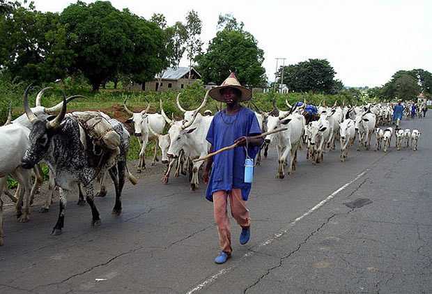 Fulani-herdsmen.jpg