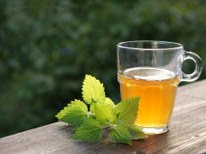 Nettle-Tea-300x224.jpg