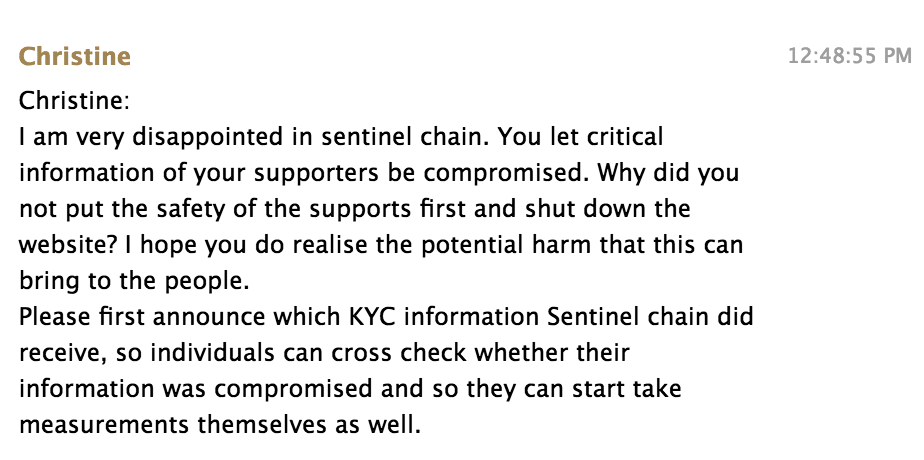 sentinel-ICO.png