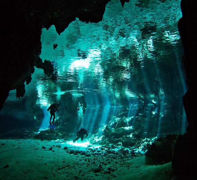 cenote dive.jpg