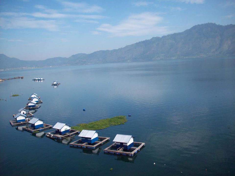 Danau Laut Tawar.jpg