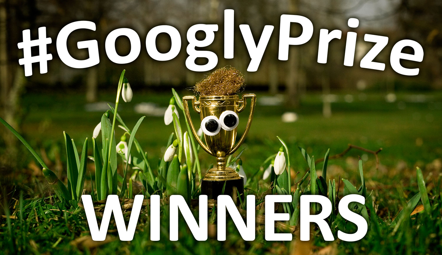 GooglyPrize Winners 30
