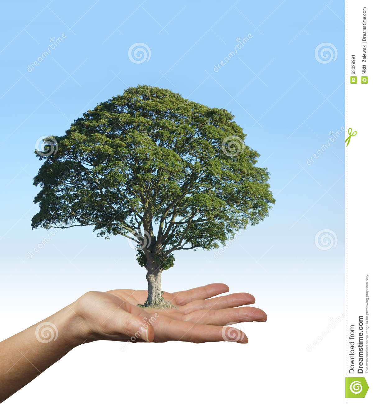 our-trees-lungs-our-earth-female-hand-palm-up-offering-gesture-beautiful-tree-balanced-her-palm-63029991.jpg