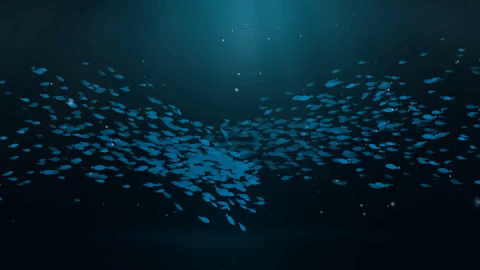 Steemit GF (FISHES).gif