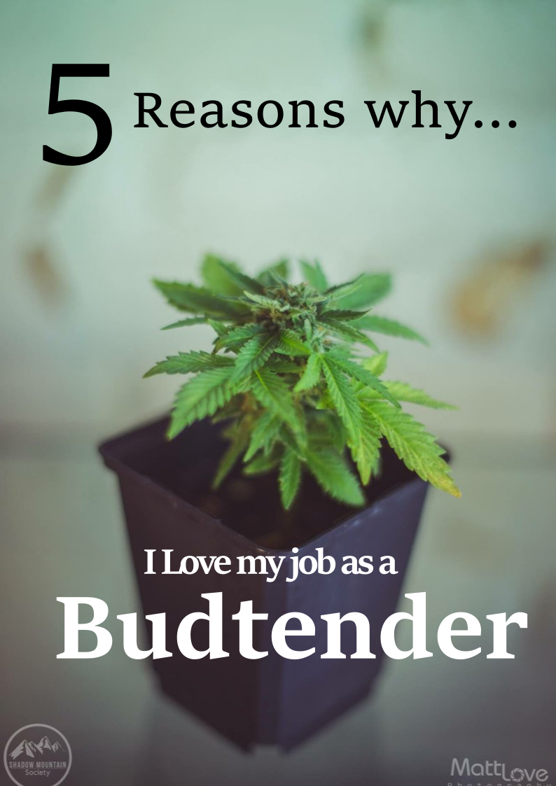 budtenderpin.png