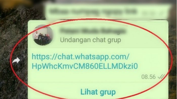 Language Entering Friends To Whatsapp Group Without Admin Permission Admin Steemit