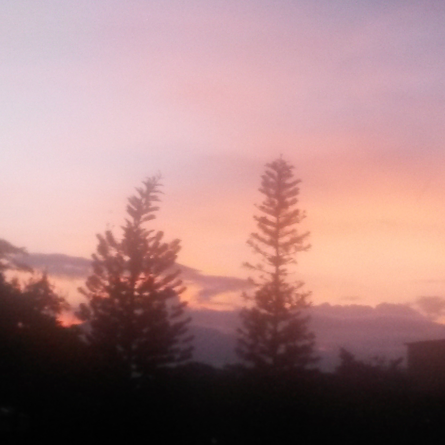 atardecer.jpg