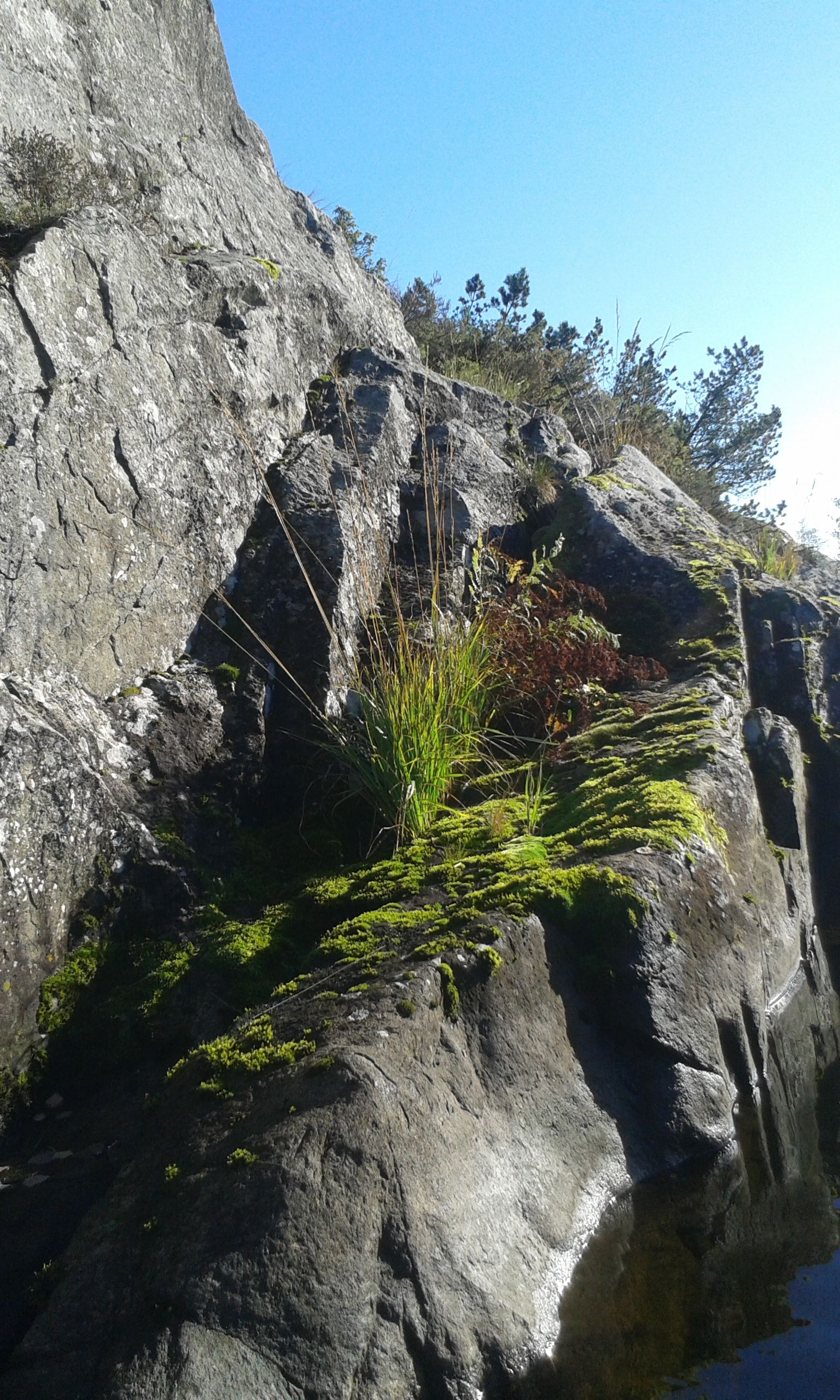 20141005_155143.jpg